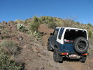 photo thumbnail #6