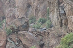 photo thumbnail #4