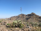 Featured Full Photo