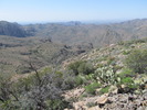 photo thumbnail #10
