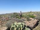 photo thumbnail #12