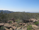 photo thumbnail #14