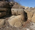 photo thumbnail #3