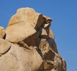 photo thumbnail #5