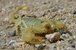 photo thumbnail #6