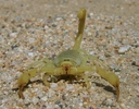 photo thumbnail #7
