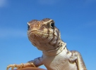 photo thumbnail #10
