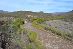 photo thumbnail #7