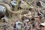 photo thumbnail #13