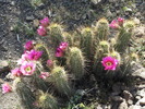 photo thumbnail #7
