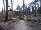photo thumbnail #4