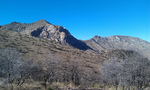 photo thumbnail #2