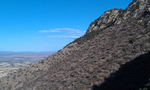 photo thumbnail #5