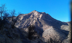 photo thumbnail #7