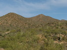 photo thumbnail #2