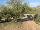 photo thumbnail #4
