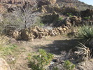 photo thumbnail #2