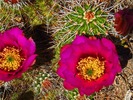 photo thumbnail #15
