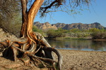 photo thumbnail #10