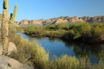photo thumbnail #11