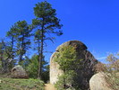 photo thumbnail #2