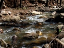 photo thumbnail #7