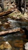 photo thumbnail #8