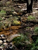 photo thumbnail #14