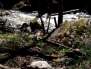 photo thumbnail #15