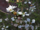 photo thumbnail #12