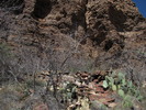 photo thumbnail #3
