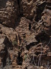 photo thumbnail #13