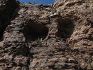 photo thumbnail #14