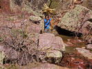 photo thumbnail #7