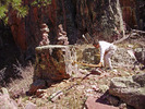 photo thumbnail #8