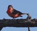 photo thumbnail #6