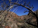 photo thumbnail #8