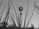 photo thumbnail #10