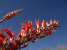 photo thumbnail #12