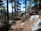 photo thumbnail #2