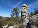 photo thumbnail #3