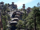 photo thumbnail #5