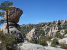 photo thumbnail #6