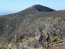 photo thumbnail #10