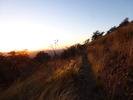 photo thumbnail #14