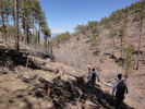 photo thumbnail #6