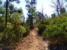 photo thumbnail #10