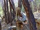 photo thumbnail #14