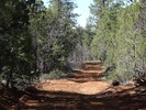 photo thumbnail #15