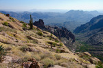 photo thumbnail #6